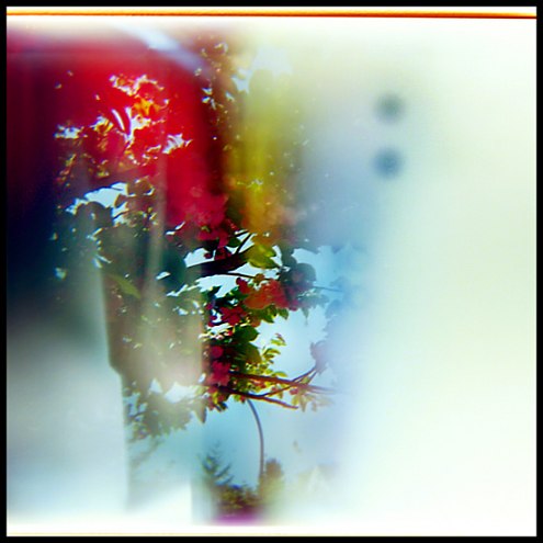 Sebastien Tixier photo S�lection #44