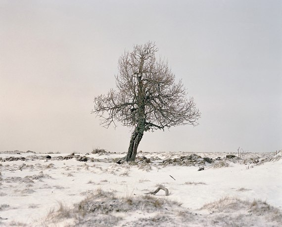 Sebastien Tixier - Photographie