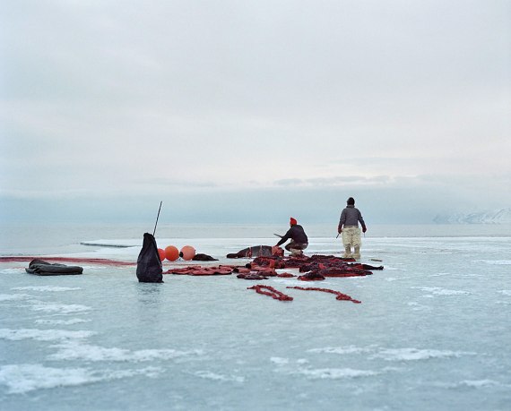 Sebastien Tixier photo Allanngorpoq #36